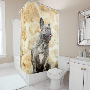 English Bulldog Dog Art Portrait