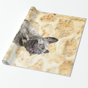 English Bulldog Dog Art Portrait Wrapping Paper