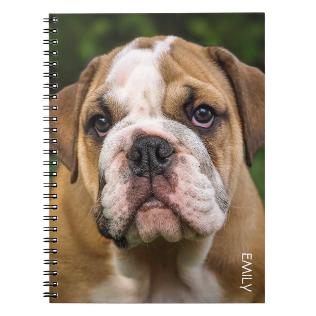 English Bulldog Dog Personalized Notebook (Front)