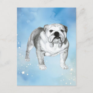 English Bulldog drawing Postcard