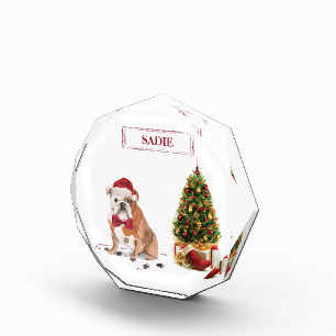 English Bulldog Funny Christmas Dog with Tree Photo Block