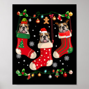 English Bulldog In Sock Christmas Santa X-mas Dog  Poster