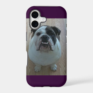 English bulldog iPhone 5 case holder
