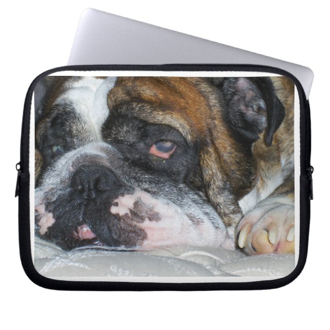 English Bulldog Laptop Sleeve (Front)