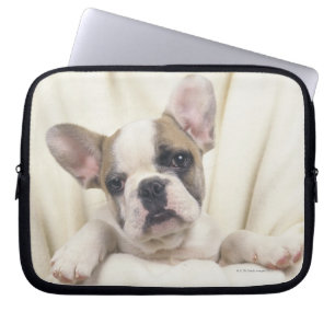English Bulldog Laptop Sleeve