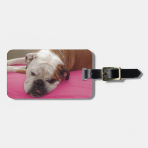 English Bulldog Luggage Tag