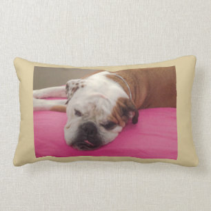 English Bulldog Lumbar Pillow