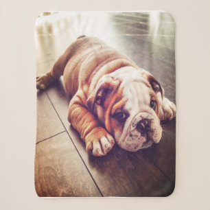 English Bulldog Lying Dog   Dog Photo Sherpa Blanket