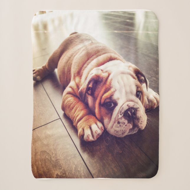 English Bulldog Lying Dog | Dog Photo Sherpa Blanket (Front)