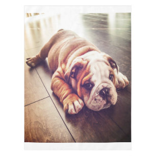 English Bulldog Lying Dog   Dog Photo Tablecloth