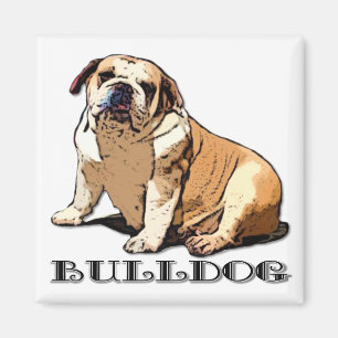 English Bulldog magnet