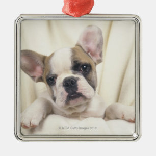 English Bulldog Metal Ornament