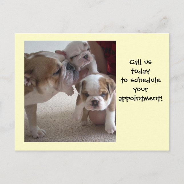 English Bulldog Mom &Pups postcards shot reminder (Front)