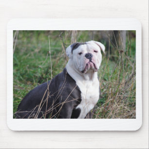 English Bulldog Mouse Pad