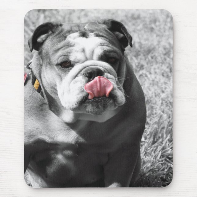 english bulldog mouse pad (Front)