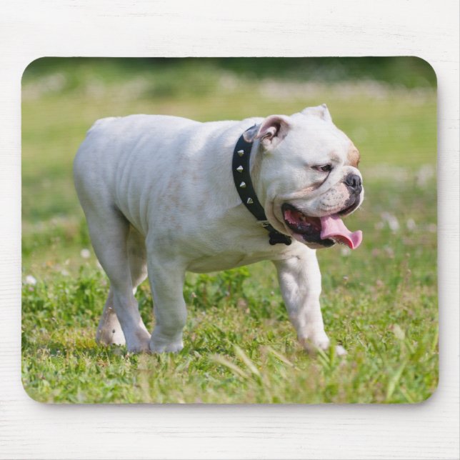 English Bulldog Mouse Pad (Front)