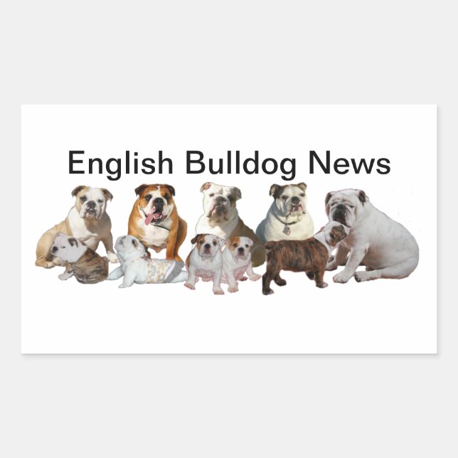 English Bulldog News Sticker (Front)