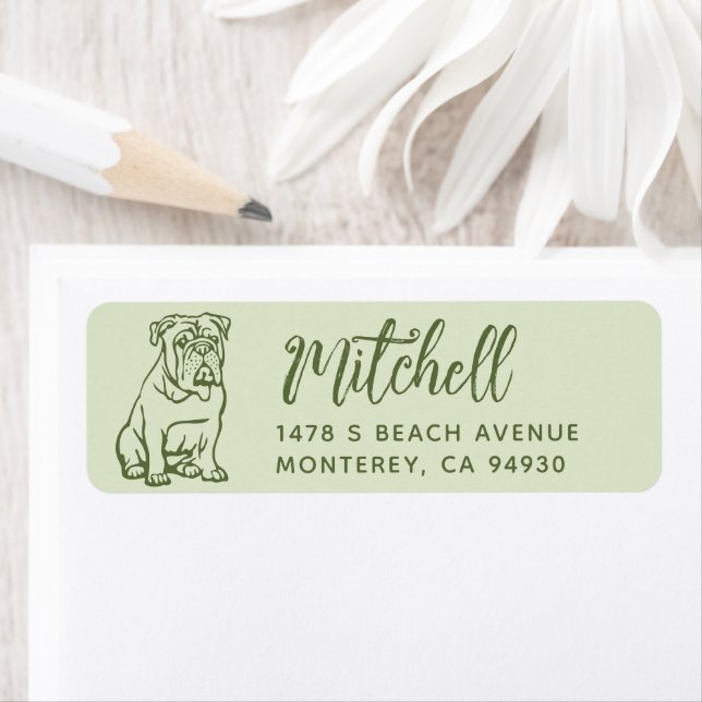 English Bulldog Owner Return Address Dog Owner (Insitu)