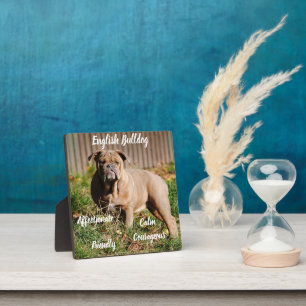English Bulldog Plaque with Easel