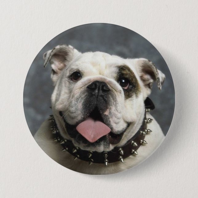 English Bulldog Portrait Photo Round Button (Front)