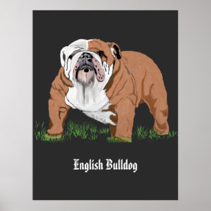 English Bulldog Poster