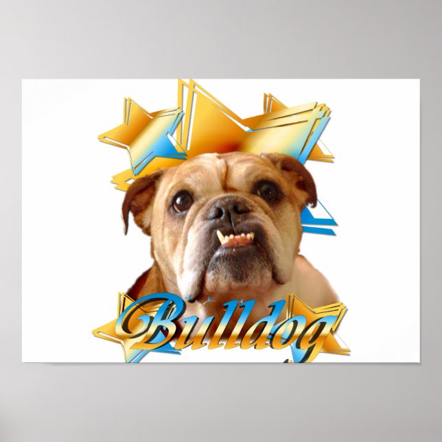 English bulldog poster (Front)