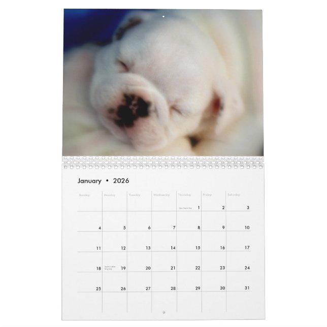 English Bulldog Puppies 2012 Calendar (Jan 2026)