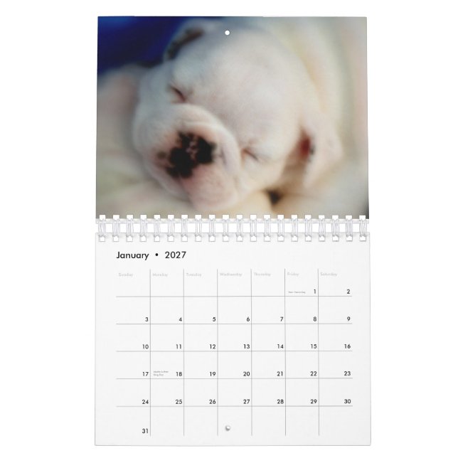 English Bulldog Puppies 2015 Calendar (Jan 2027)