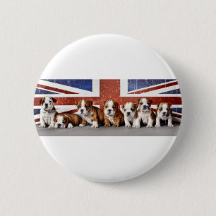English bulldog puppies 2 inch round button