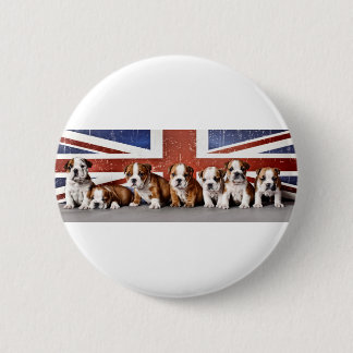 English bulldog puppies 2 inch round button