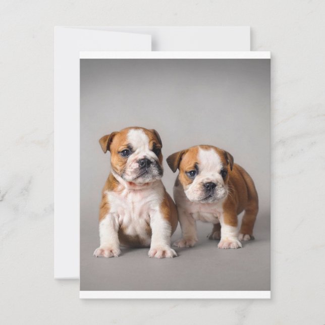 English Bulldog Puppies | Couple Cute Bulldog Invitation (Front)