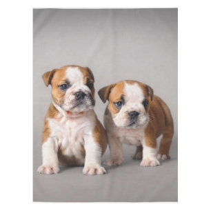 English Bulldog Puppies   Couple Cute Bulldog Tablecloth