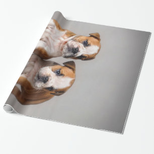English Bulldog Puppies Couple Cute Bulldog Wrapping Paper