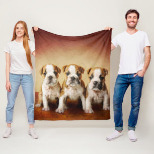 English Bulldog Puppies Really Cute Fleece Blanket