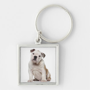 English bulldog puppy (2 months old) keychain