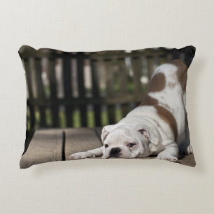 English Bulldog Puppy Accent Pillow