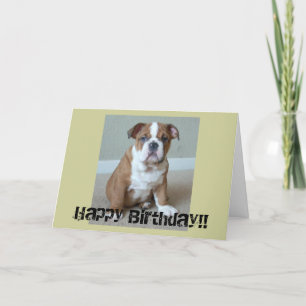 English Bulldog Puppy Card