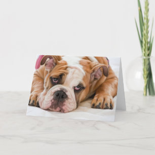 English bulldog puppy card