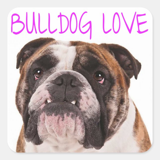 English Bulldog Puppy Dog Purple Love Square Sticker (Front)