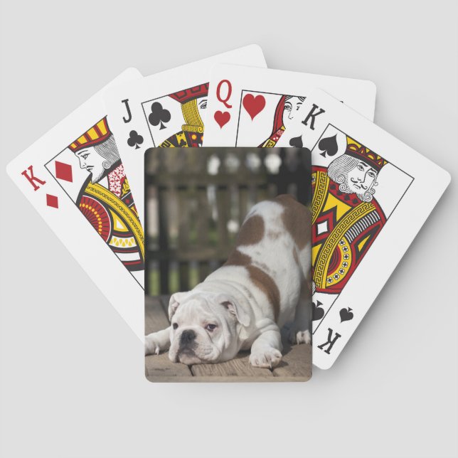 English Bulldog Puppy Playing Cards (Back)