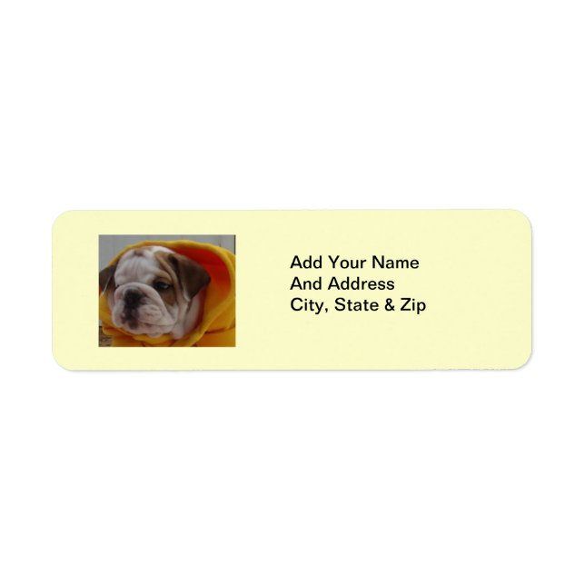 English Bulldog Puppy Return address labels (Front)