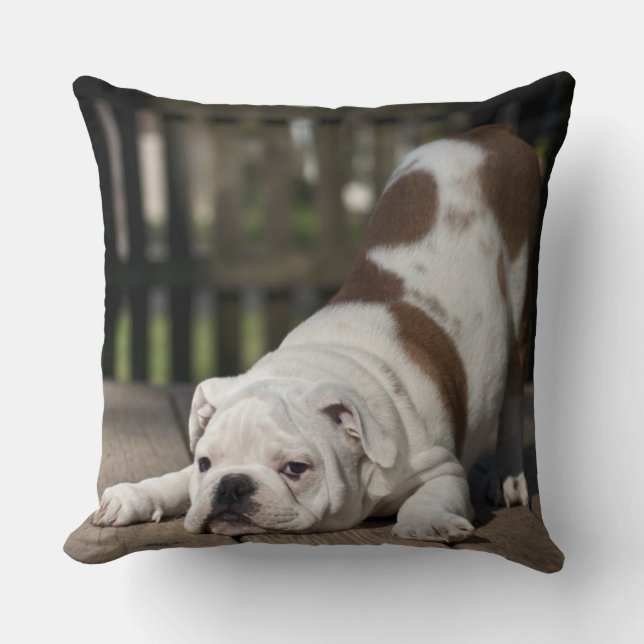 English Bulldog Puppy Throw Pillow (Front)