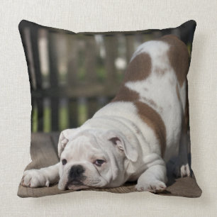 English Bulldog Puppy Throw Pillow