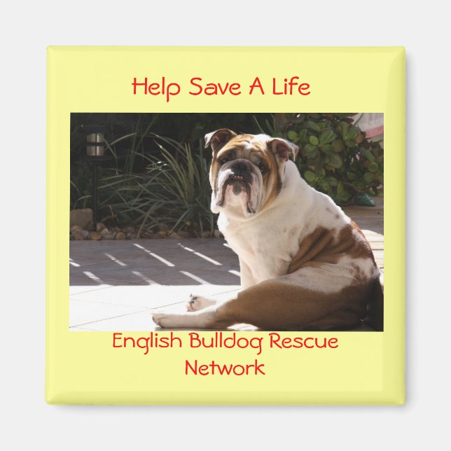 English Bulldog Rescue Network - Customized Magnet (Front)