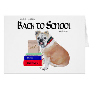 English Bulldog Retour à l'école