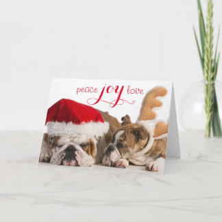 English Bulldog Santa And Reindeer Holiday Card