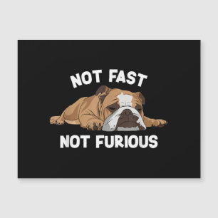 English Bulldog Sleeping Not Fast Not Furious Funn