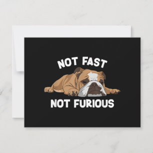 English Bulldog Sleeping Not Fast Not Furious Funn Holiday Card