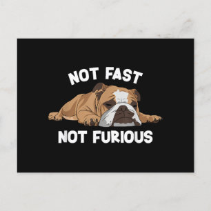 English Bulldog Sleeping Not Fast Not Furious Funn Holiday Postcard