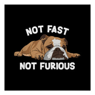 English Bulldog Sleeping Not Fast Not Furious Funn Poster